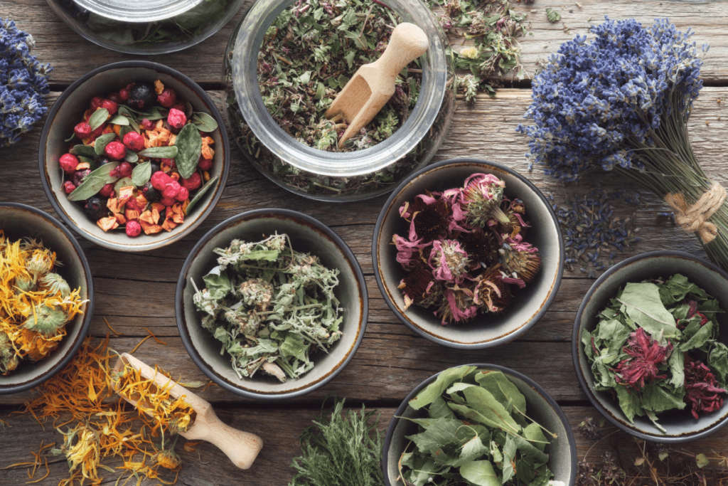 herb drug interactions