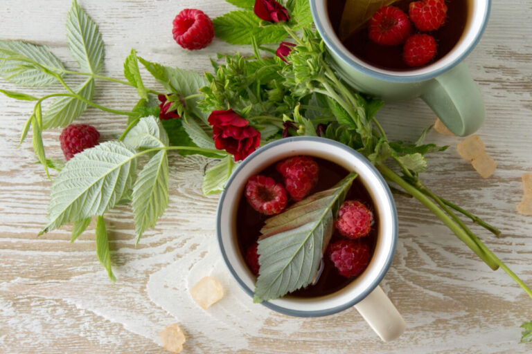 red raspberry leaf: how to “steep” the benefits blog post