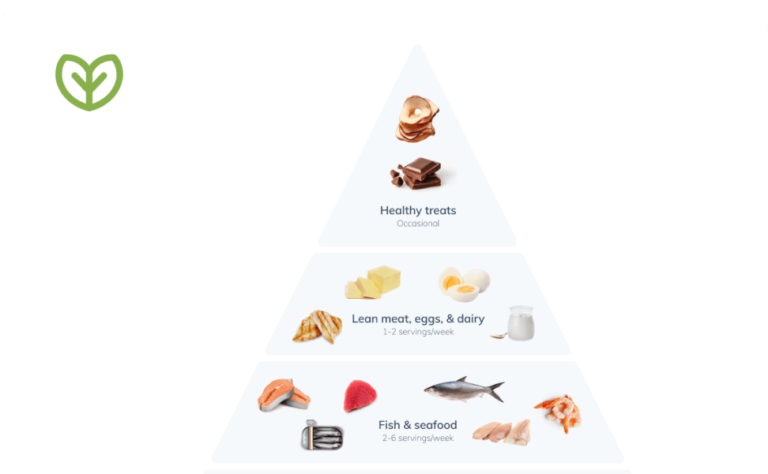 anti-inflammatory food pyramid infographic