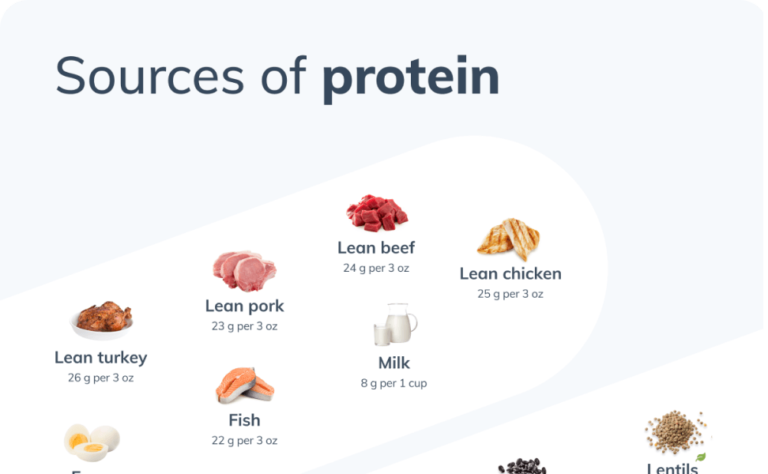 sources of protein infographic