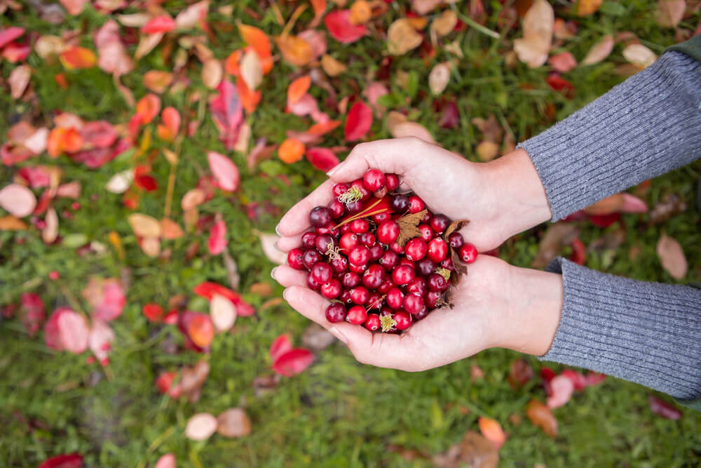 handful of cranberries, which help with UTIs