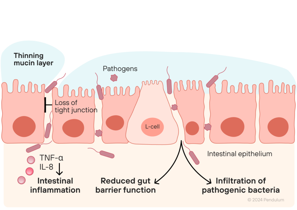 thinning mucin layer diagram